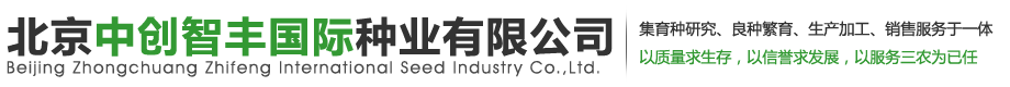 北京中创智丰国际种业有限公司